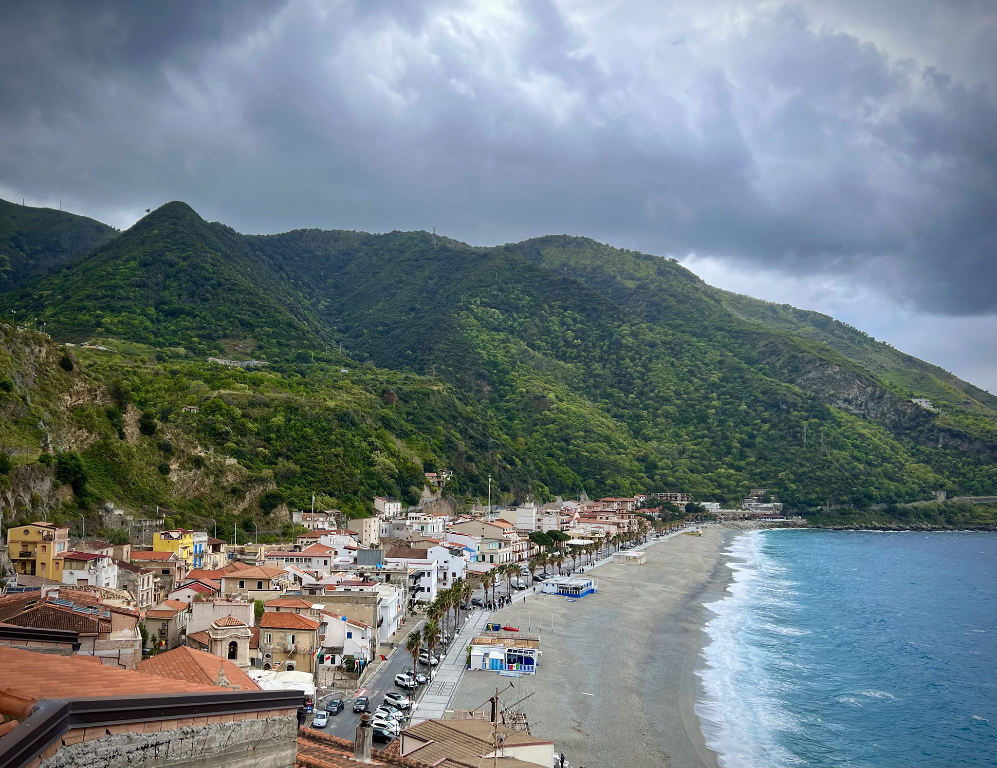 Scilla